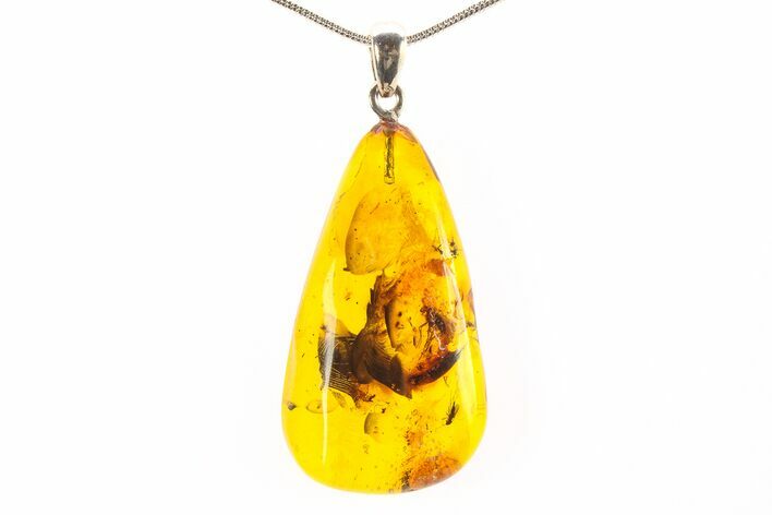 Polished Baltic Amber Pendant (Necklace) - Flies and Beetle! #297696